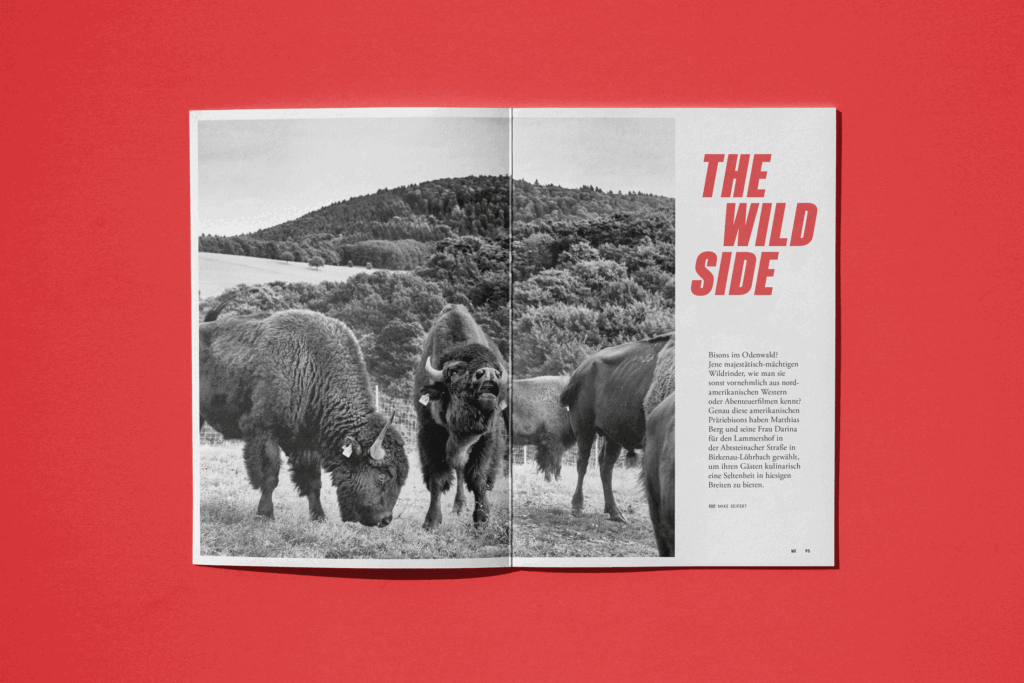 Editorial Design Mannheim: My Odenwald Magazin