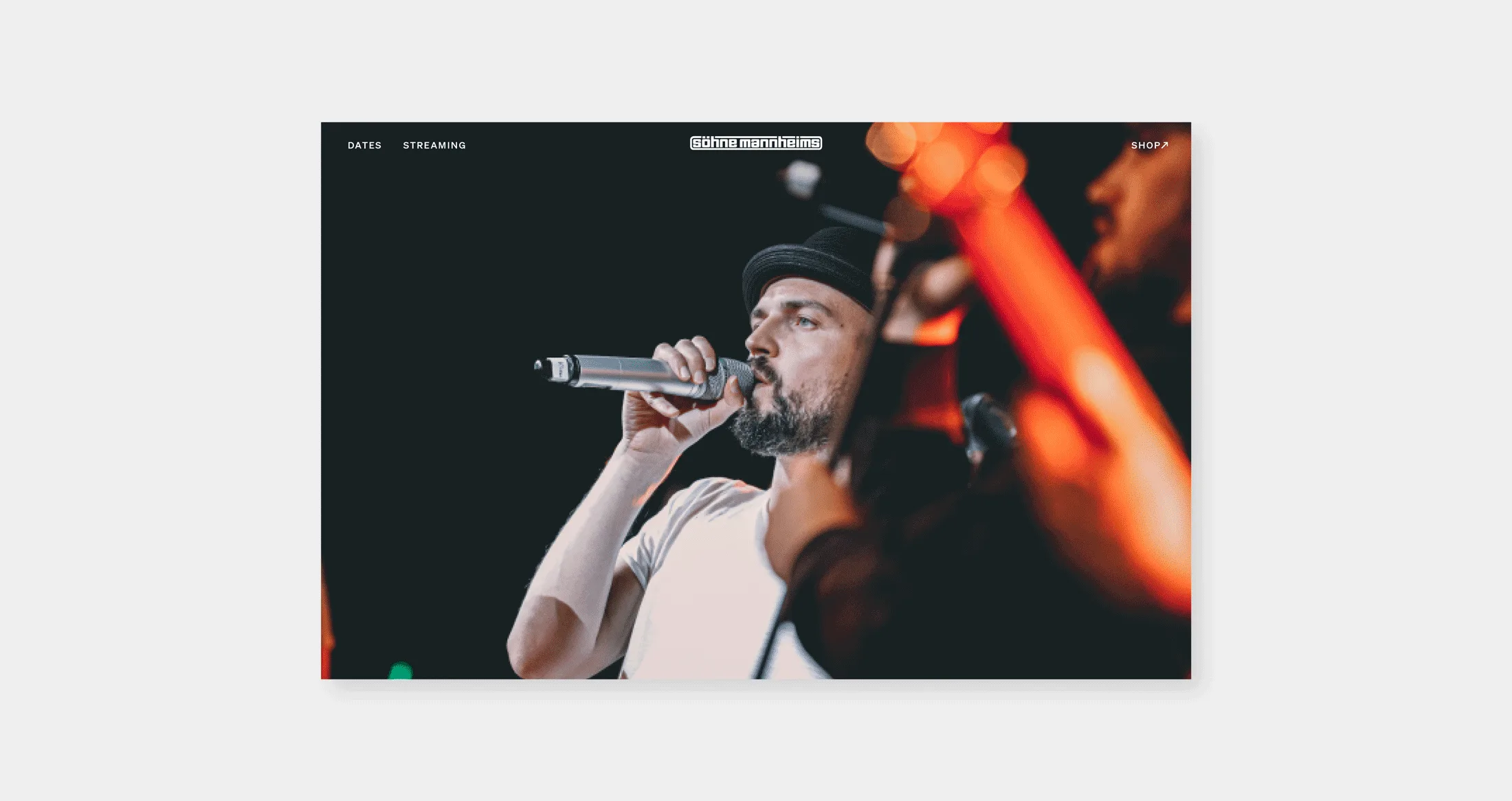 Professionelles Webdesign Söhne Mannheims Website